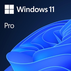 Windows 11 Professional Genuine Digital Key